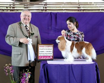 Group 4th and New Grand Champion under Judge Michael Lanctot
