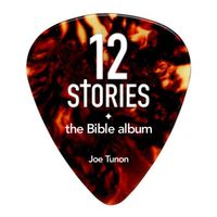 12 Stories: the Bible Album by Joe Tunon