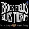 2020 Digital Download BRICK FIELDS BLUES THERAPY LIVE CD: 2020 NEW CD RELEASE!