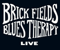 Pre-Order Brick Fields Blues Therapy Live