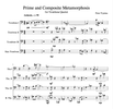 Prime and Composite Metamorphosis - for Trombone Quartet (digital download)