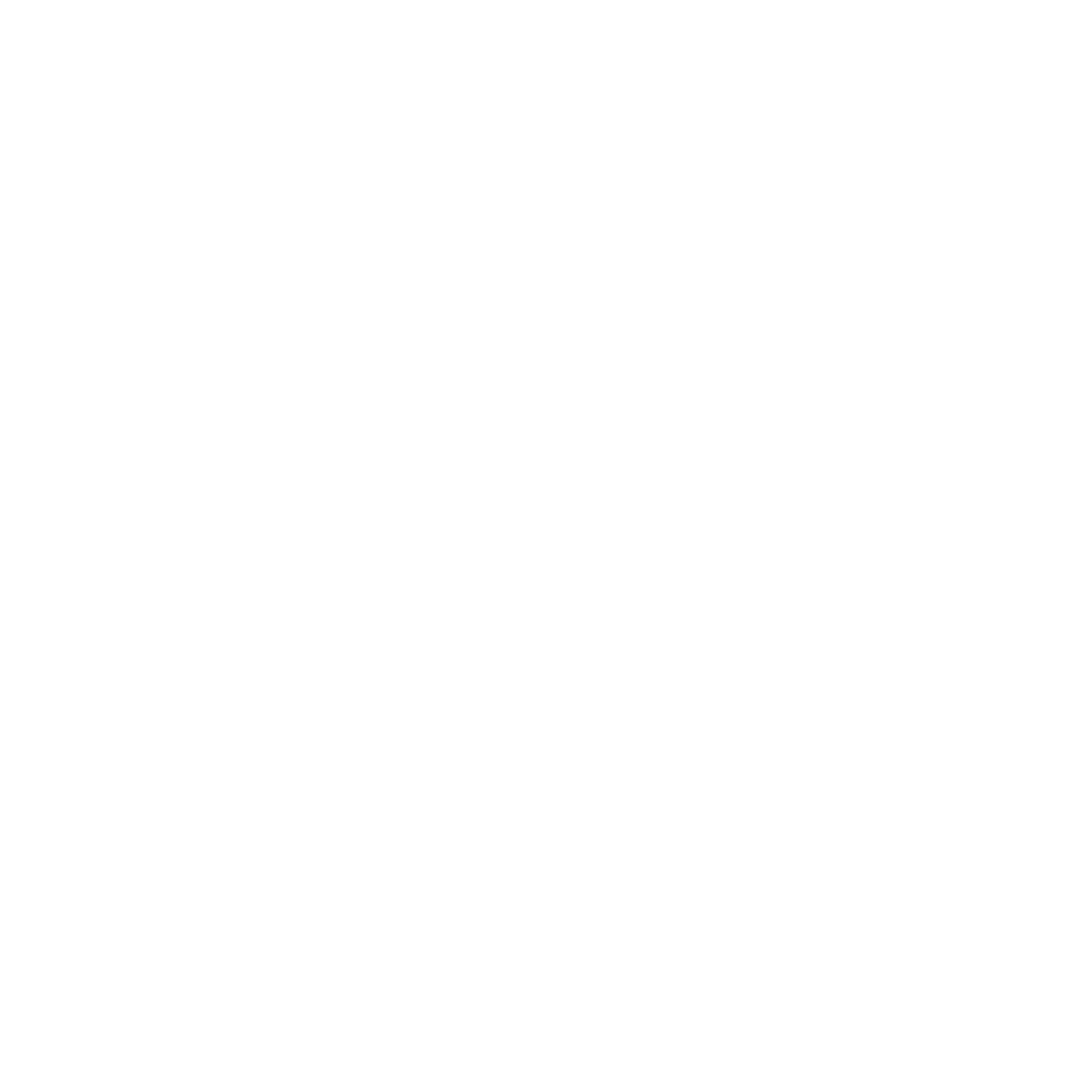 Johnny Boots