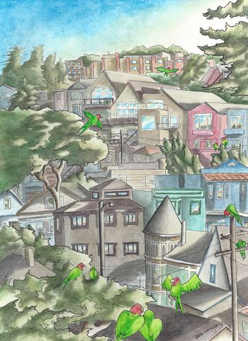 "The Parrots of Corona Heights"
