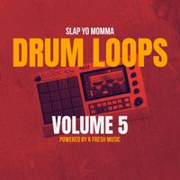 Slap Yo Momma Drum Loops Vol. 5