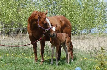 14 Hours old
