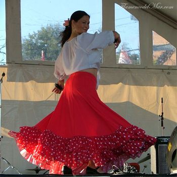 Flamenco Del Mar
