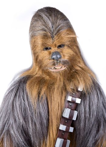 Chewbacca Closeup
