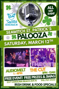 Audiomelt at The Seawitch St. Patrick's Palooza