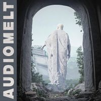 Audiomelt Digital Download,  Vinyl  and CDs by Audiomelt