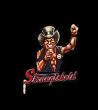 Stranglehold a Tribute to Ted Nugent 