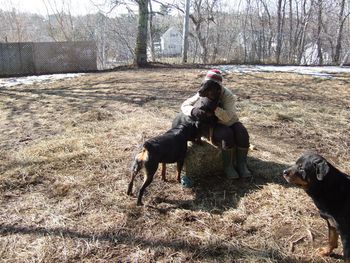 Jade giving Dale a snuggle on the hay bale, with Raven and Baron looking on.
