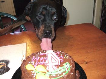 Raven! leave that cake alone!
