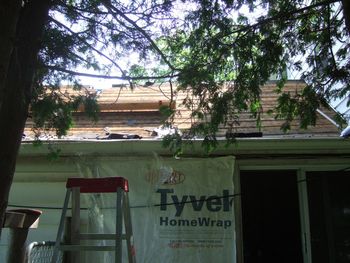 Our new roof - Aug 2009.
