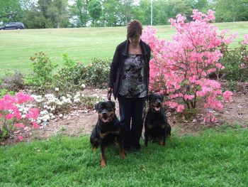 Dale with Rogue and his mom Jade.
