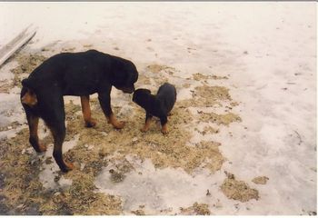 Playing together - March 2004
