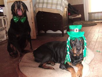 This couple, Baron & Jade look like they've celebrated a bit too much this St.Paddy's Day. Are we keeping you up Baron?!
