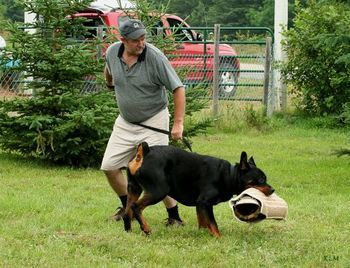 Schutzhund training - protection - sleeve reward!
