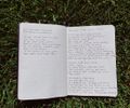 Sunburst Journal 