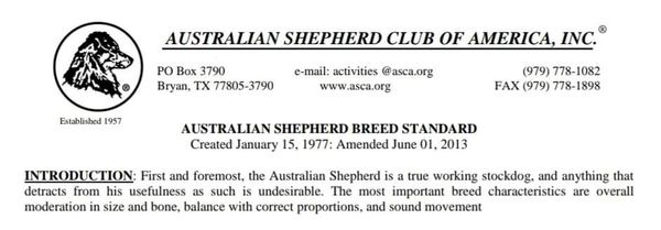 "First and foremost", the Australian Shepherd is a "TRUE WORKING STOCKDOG"! 