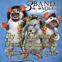 3 Band Mice @ Sly Fox Lounge