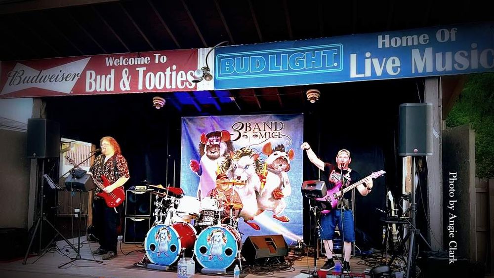 3 Band Mice performs live!