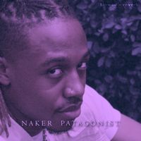 Naker Slowed + Reverb  by Patagonist