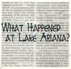 What Happened at Lake Ariana?: Various San Diego artists