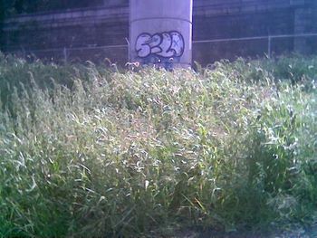 WEST HARLEM BIKE PATH
