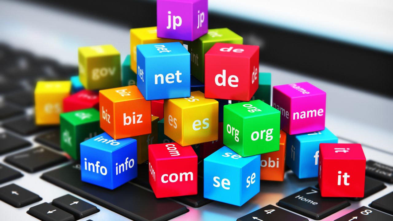 domain name registration