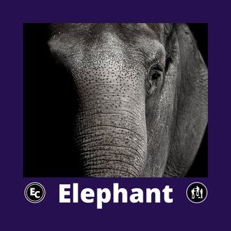 Elephant by Enigmatic Clergy