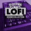 Lo-Fi Sound Collection Vol. 8