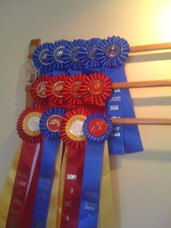 The Original Ribbon Rack - Purchase