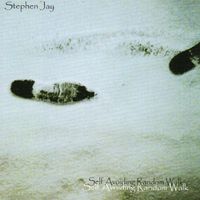 Self Avoiding Random Walk by Stephen Jay