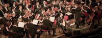 Amazonas 2023 at Carnegie Hall, Nilko Andreas will perform the  VIlla-lobos Guitar concerto with Ensemble Iberica