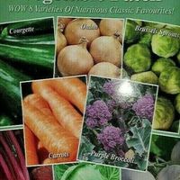 Vegetable Patch 8in1 Seed Pack - Over 700 Seeds - Free shipping & free stickers