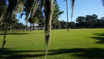 Beautiful Lithia Florida!
