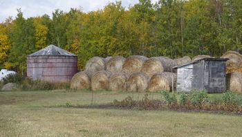 The Farm!

