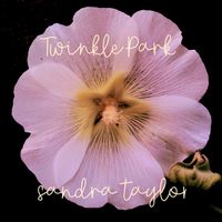 Twinkle Park by Sandra Taylor