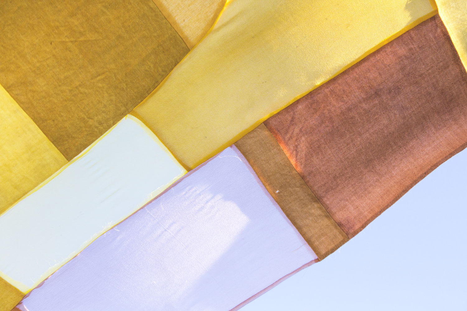 Dye Plants in Curious Spaces Sumac