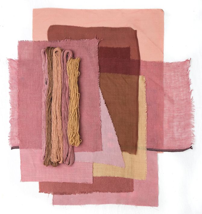 Dye Plants in Curious Spaces Sumac