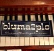 BLUMA2PLO Bumper Sticker