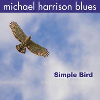 Simple Bird by Michael Harrison Blues