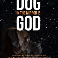 Dog in the mirror is God