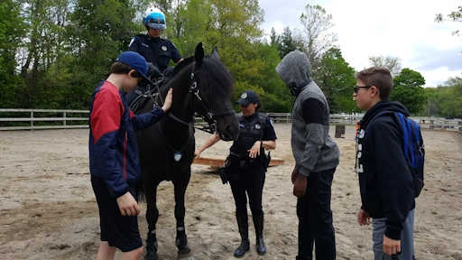 Horse animal-assisted therapy with teens and Montreal mounted police