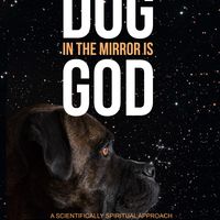 Dog in the mirror is God