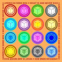 What Is And Never Was by American Song Box 