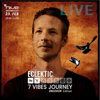 ECLEKTIC LIVE @ Hive Club Zurich (7 Vibes Journey) by ECLEKTIC