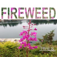 FIREWEED - An Alaska Featured Album