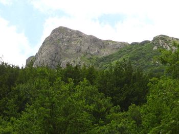 Mt Bugarach... the south of France
