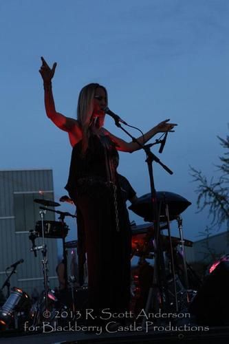 Guest Artists with Andrea Brook and the Earth Harp at the Nelson Atkins Museum in Kansas City with the amazing Quixotic
